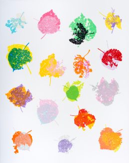 All the Days of December Piero's Palette - Andrew Carter