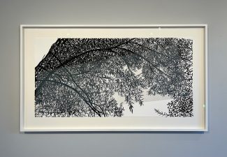 The Tree I Fell Out Of - Andrew Carter