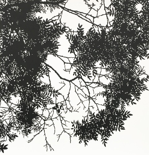 Ash Tree Filigree1, Linocut, 39x39cm