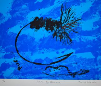 Death by Tenkara - Frank Dolphin