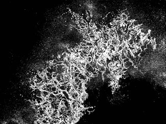 Lightwaves - Marianne Ferm RE