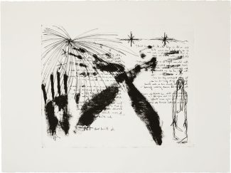 Erlkönig I - Ulla Neureiter